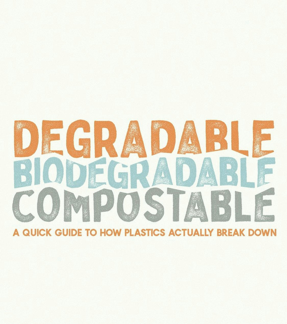 How to Choose the Right Compostable Product -Know the Different Defini ...