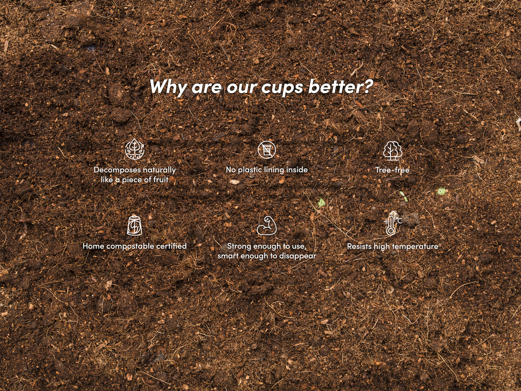 Full Width Image