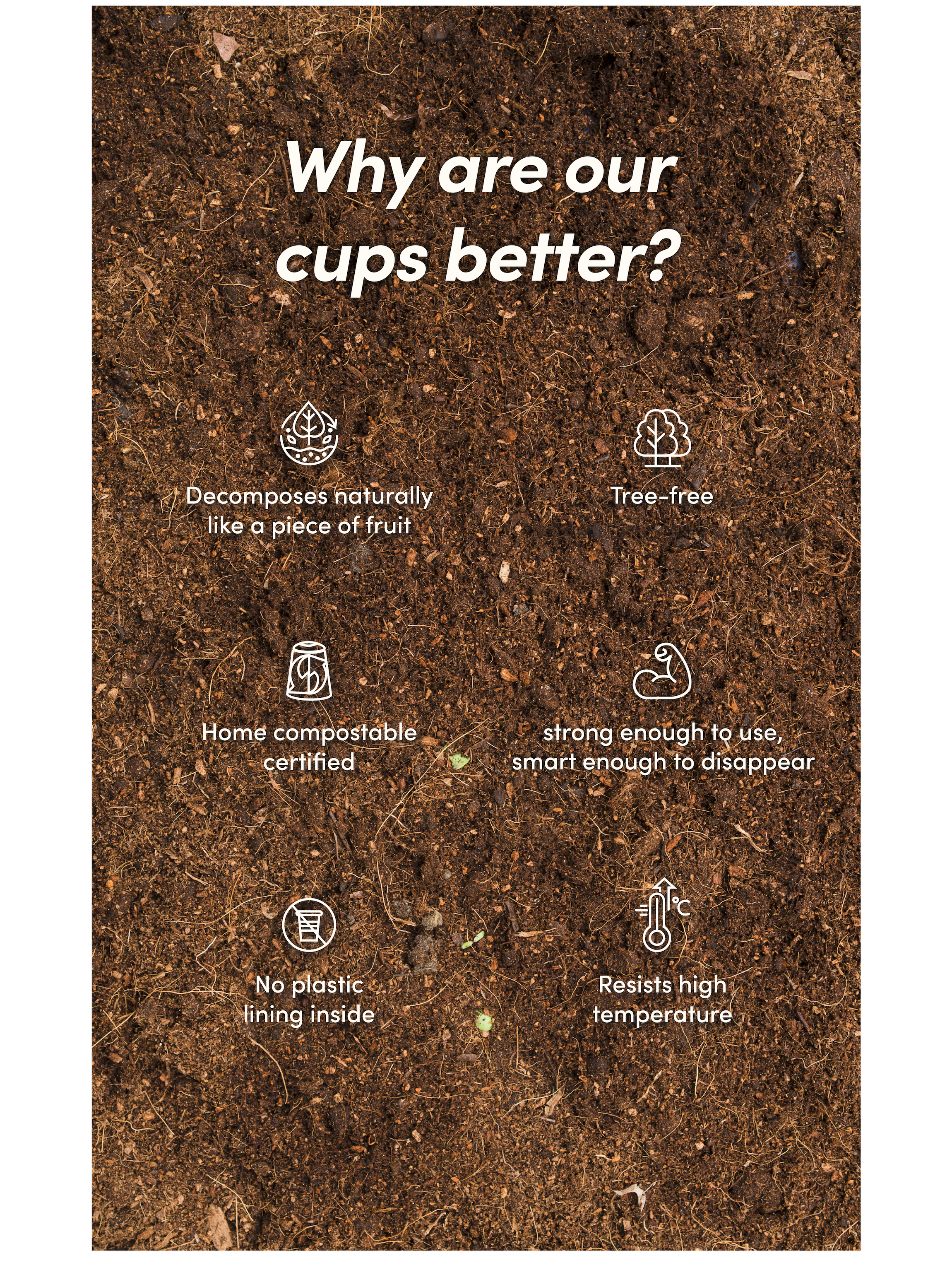 Full Width Image